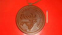 Odinis medalis.