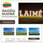 Šviečiančių raidžių nuoma Jūsų šventei PIETŲ LIETUVOJE
