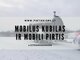 MOBILIOS PIRTIES IR KUBILO NUOMA – POILSIS BE RŪPESČIŲ! Alytaus
