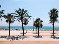 Žiemos atostogos Barselonoje, lektuvu bilietai, viesbuciai