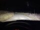 Led lemputes automobiliui