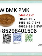 5449-12-7 BMK and PMK 28578-16-7 BK4 BVF powder factory