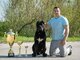Cane Corso – Gražūs šuniukai