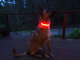 LED Šviečiantis antkaklis šunims