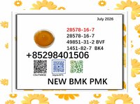 PMK powder cas 28578-16-7 with cas 5449-12-7 / 1451-82-7 / 49851