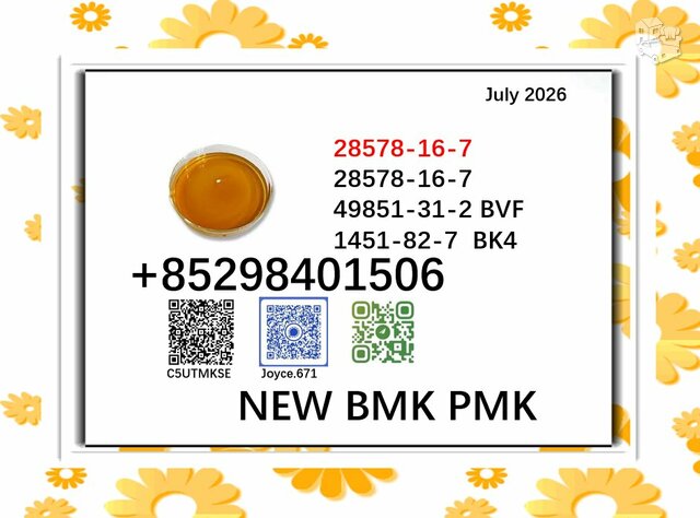 PMK powder cas 28578-16-7 with cas 5449-12-7 / 1451-82-7 / 49851