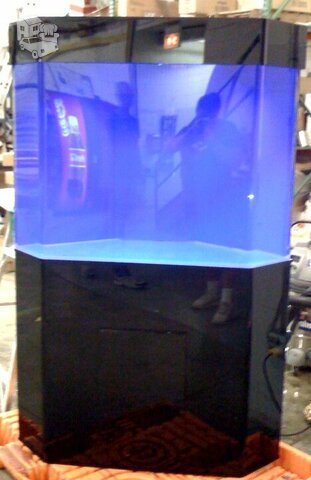 Akvariumas akrilinis aptakus be mėlyno fono