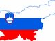Lietuva - Slovėnija - Lietuva / skubių krovinių gabenimo ir