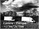 Reikalingas krovinių pervežimas (gabenimas) ar kitos logistikos