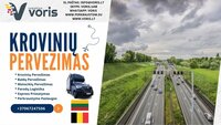 Baldų Pervežimas ( Kiekvieną savaitę )  LIETUVA - BELGIJA -