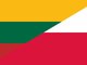 Lodzė (Łódź) LIETUVA – LODZĖ – LIETUVA Patirtis ir atsakomybė.