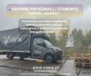Alytus - Lenkija,Vokietija,Italija,Olandija,Belgija (visa Europa