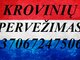Gabename iš Olandijos ir į Olandiją.