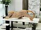 Juoda ir auksinė leopardo statulos, skulptūros