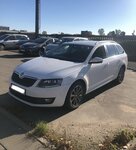 Skoda Octavia, 2.0 l., universalas