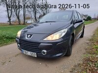 Peugeot 307, 1.6 l., hečbekas