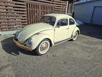 Volkswagen Beetle, 1.3 l., hečbekas