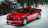 Ford Mustang, 4.6 l., kupė (coupe)