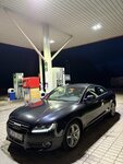 Audi A5, 2.7 l., kupė (coupe)
