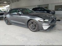 Ford Mustang, 2.3 l., kabrioletas