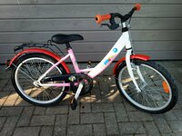 Vaikiškas dviratukas LIMPOPO