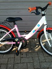 Vaikiškas dviratukas LIMPOPO
