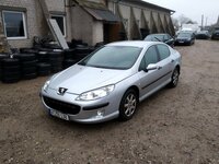 Peugeot 407 2006 m dalys