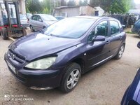 Peugeot 307 2003 m dalys