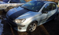 Peugeot 206 2001 m dalys