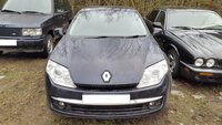 Renault Laguna III 2009 m dalys