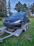 Peugeot 307 2002 m dalys