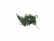 Ford Focus, Kapoto spyna, 3M51-16700, 3M51C7G0A