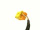 C200, W205, Oro pagalvės jungtis, 0005407301, A0005407301