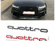 Audi ziedai , emblemos , sline.