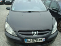 Peugeot 307 I 2004 m dalys