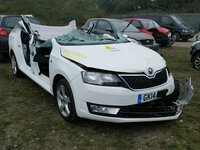 Skoda RAPID 2014 m dalys