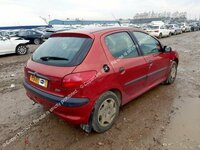 Peugeot 206 1999 m dalys