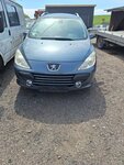 Peugeot 307 2007 m dalys
