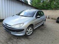 Peugeot 206 2002 m dalys