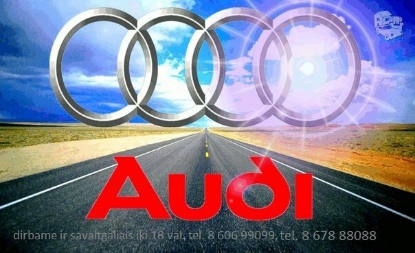 Audi 100 c4 dalimis