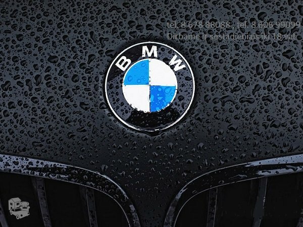 BMW 316 dalimis