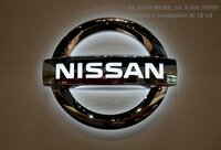 Nissan auto dalimis