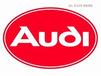 Audi dalys
