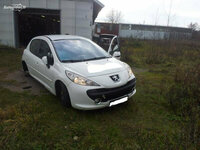 Peugeot 207 2007 m dalys