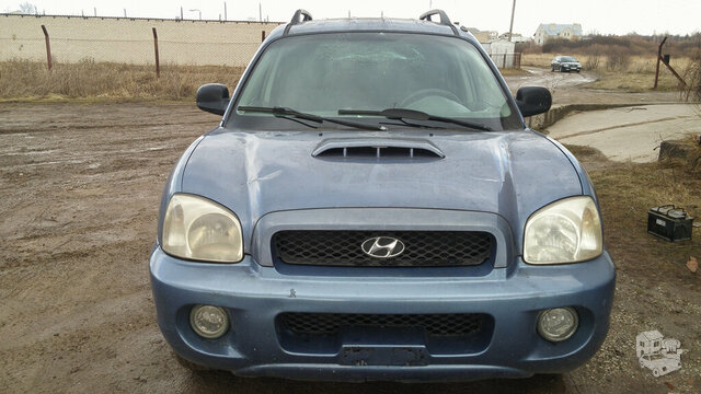Hyundai Santa Fe I 2001 m dalys