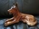 Statulele suo