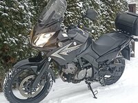 Suzuki DL