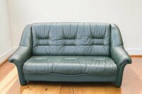 Natūralios odos sofa