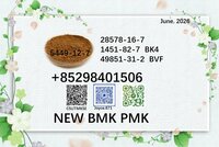 Cas 28578-16-7 BMK oil cas 5449-12-7 PMK powder manufacturer Top