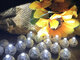 LED dekoracija "Burbuliukas"
